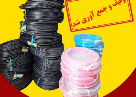 اجرای رأی کمیسیون ماده ۴۲ و جمع آوری سیم و کابل سرکان و انصار همدان