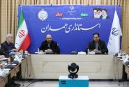 میزان تسهیلات پیش بینی شده برای تعاونی های فعال استان همدان افزایش یافت