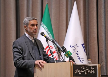 نگاه به بیرون و در پیش گرفتن ذائقه خارجی از جمله عوامل به خطر افتادن سلامت خانواده های ایرانی است