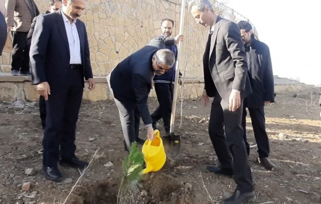 دادستان همدان: کاشت درخت معطوف به یک روز نباشد /حفاظت از محیط زیست با ترویج فرهنگ درختکاری شدنی است