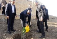 دادستان همدان: کاشت درخت معطوف به یک روز نباشد /حفاظت از محیط زیست با ترویج فرهنگ درختکاری شدنی است
