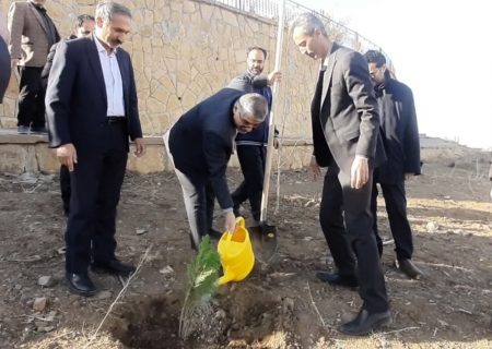 دادستان همدان: کاشت درخت معطوف به یک روز نباشد /حفاظت از محیط زیست با ترویج فرهنگ درختکاری شدنی است